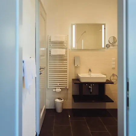Zum Schwan Hotel 3*