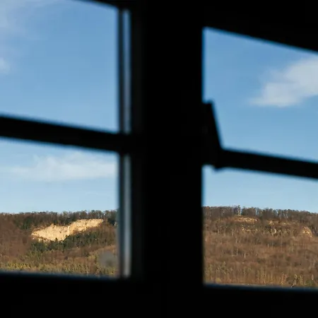 Zum Schwan Hotel