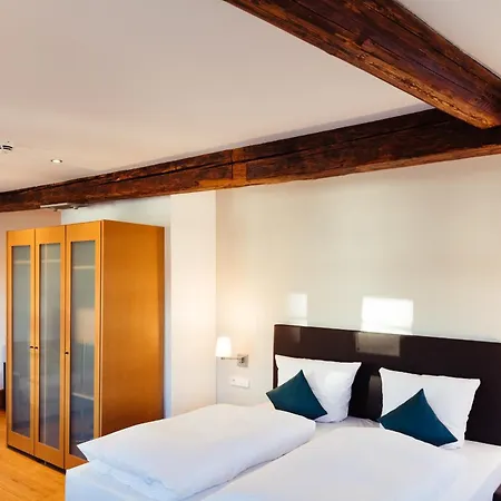Hotel Zum Schwan 3*