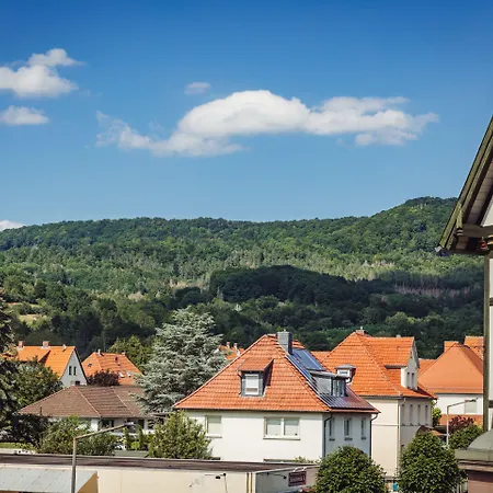 Zum Schwan Hotel 3*
